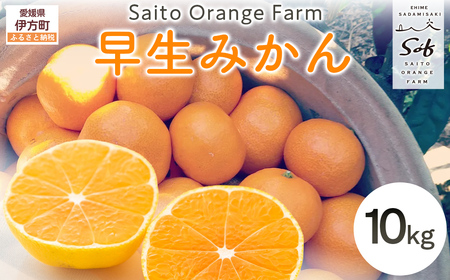 【先行予約】Saito Orange Farmの早生（わせ）みかん10kg （2026年11月以降順次発送） IKTAQ021