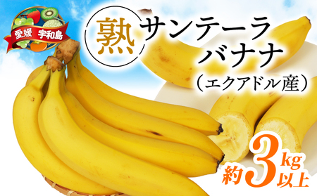 【果物】熟サンテーラバナナ約3kg徳田青果果物|F010-194001