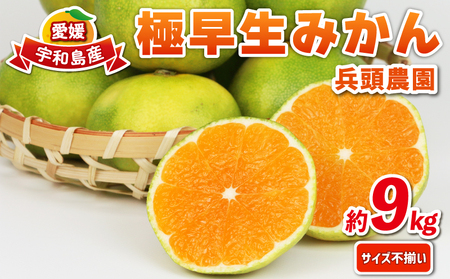 極早生みかん 家庭用 9kg サイズ不揃い 兵頭農園 果物 果物 B010-055007