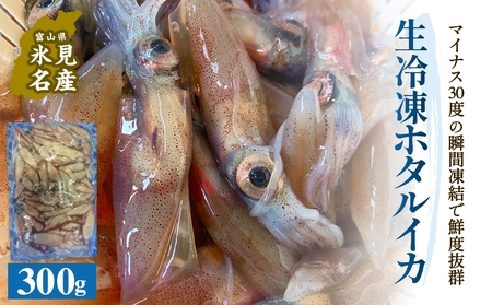 生冷凍ホタルイカ（凍眠） 300g 富山県 氷見市 ほたるいか しゃぶしゃぶ 冷凍　ホタルイカ