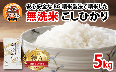 【令和7年産】BG無洗米 コシヒカリ 5kg [A-00401]   こしひかり