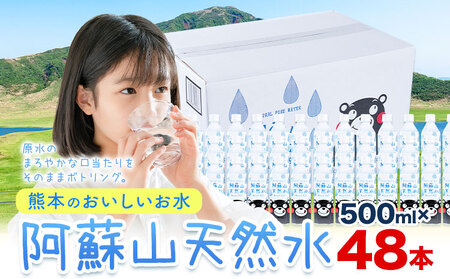 水 阿蘇山 天然水 500ml × 48本 2ケース  丸富産業