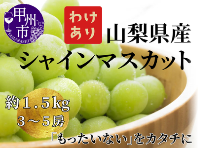 【訳あり】山梨県産旬のシャインマスカット 約1.5kg（3～5房）ご家庭用【2026年発送】（LKS）B12-850 シャインマスカット フルーツ