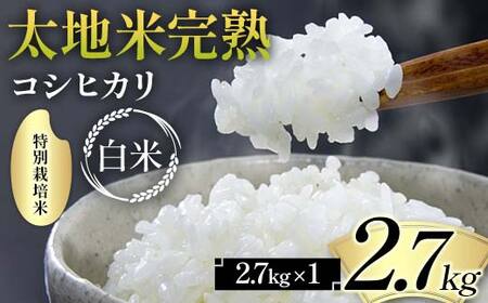 2026年産 特別栽培米 太地米完熟【こしひかり】 白米 2.7kg ブランド米 お米 精米 白米 人気 F7X-0661