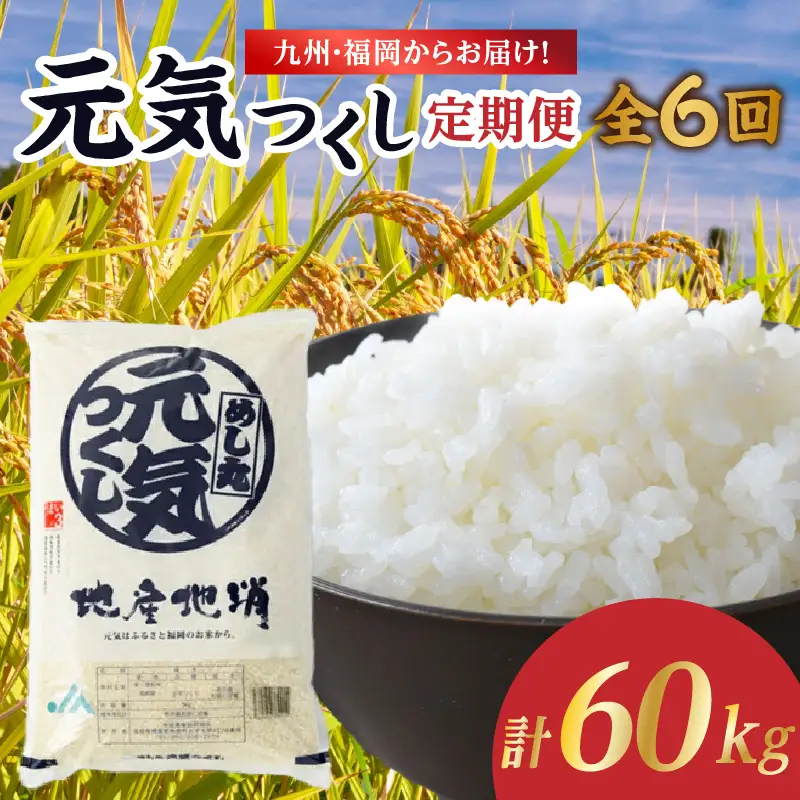 九州・福岡からお届け！ブランド米「元気つくし」定期便 10kg(5㎏×2)【全6回】 お米 米 コメ 白米 特A 直送 お弁当 おにぎり 炊きたて ツヤ 粘り もちもち 弾力 卵かけご飯 福岡県 八女市 072-T155