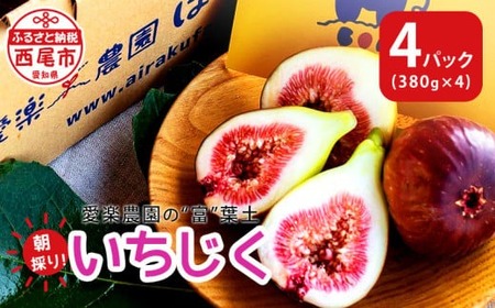 愛楽農園の"富"葉土いちじく【380g×4パック】・A023-13