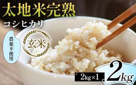2026年産 農薬不使用 太地米完熟【こしひかり】 玄米 2kg ブランド米 お米 人気 F7X-0672