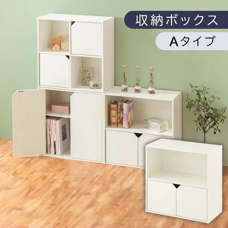 【完成品でお届け】収納ボックス〔Aタイプ〕（ホワイト）収納棚 扉付き キャビネット ラック 棚 カラーボックス スリム 2段 可動棚 本棚 収納家具 リビング LKANET300248-A-WH