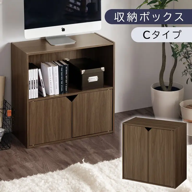 【完成品でお届け】収納ボックス〔Cタイプ〕（ウォールナット）収納棚 扉付き キャビネット ラック 棚 カラーボックス スリム 2段 可動棚 本棚 収納家具 リビング LKANET300248-C-WAL