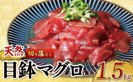天然「めばちマグロ」！天然目鉢マグロ切り落とし 1.5kg