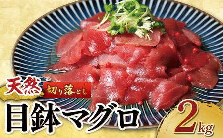 天然「めばちマグロ」！天然目鉢マグロ切り落とし 2kg