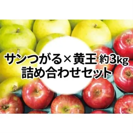 【26年8月下旬より順次発送】糖度13度以上保証! 黄王×サンつがる 約3kg 訳あり  クール便【配送不可地域：離島・沖縄県】【1613845】