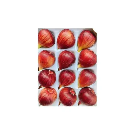 M005　いちじくプリンセス１箱