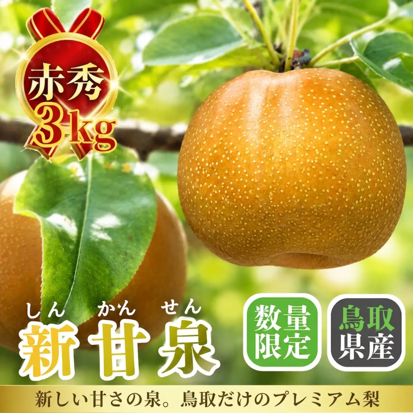 Y496 新甘泉(赤秀) 3kg