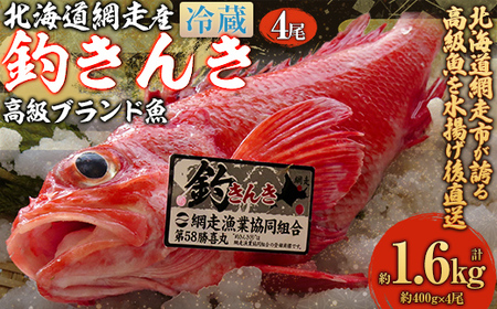 【先行予約】【網走産】高級ブランド釣きんき 4尾【冷蔵】 ABJ018【2026年5月15日以降順次発送予定】