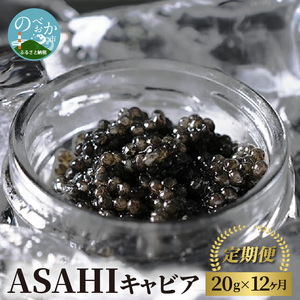 ASAHIキャビア20g×12ヶ月定期便 N032-YZH008