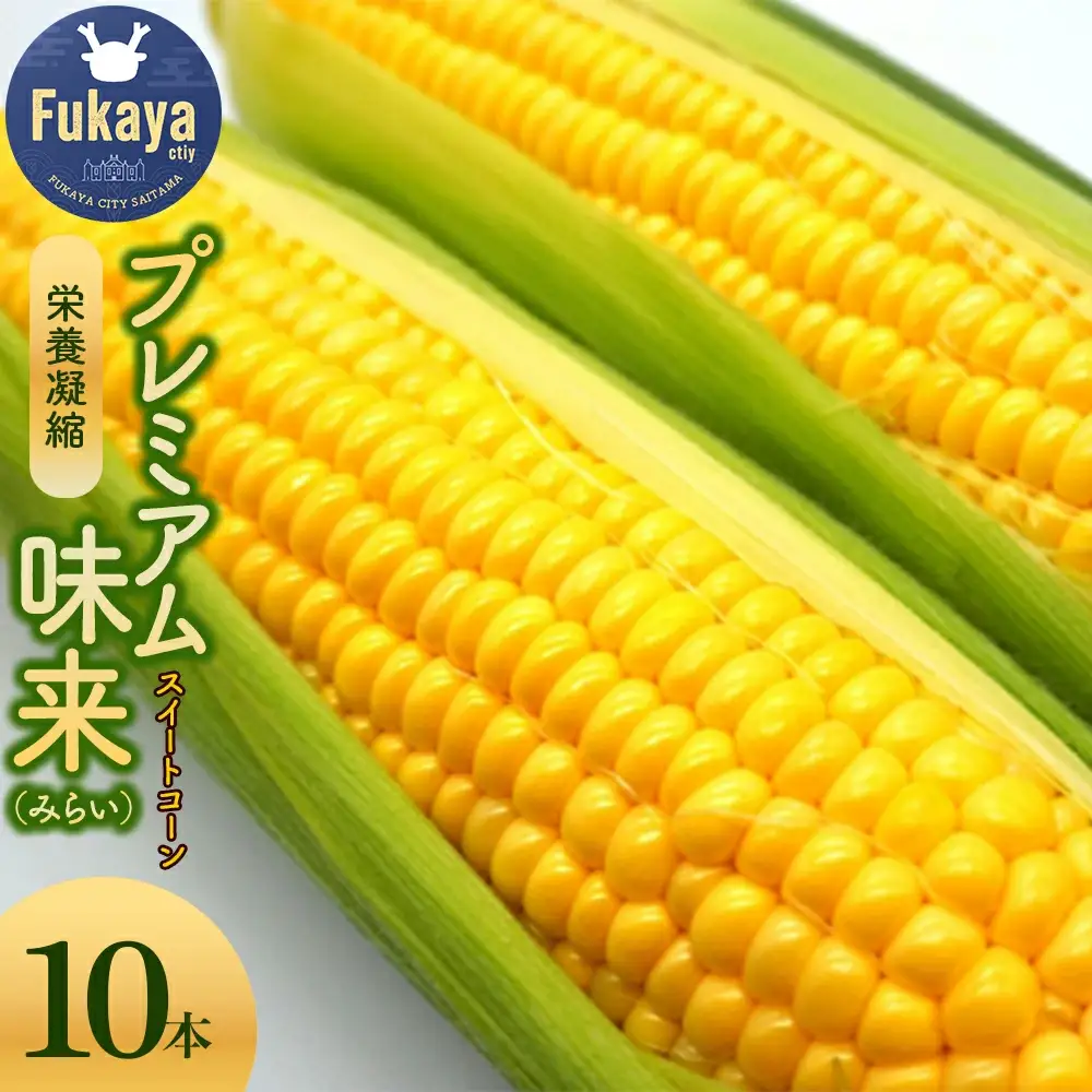 ＜先行予約＞【6・7月出荷】農家直送！とうもろこし　プレミアム味来　10本箱詰め　【11218-0926】
