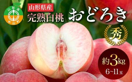 《2026年発送先行予約》山形県産 完熟白桃おどろき 約3kg 秀 桃 もも フルーツ果物 くだもの 山形県 中山町 F4A-0921