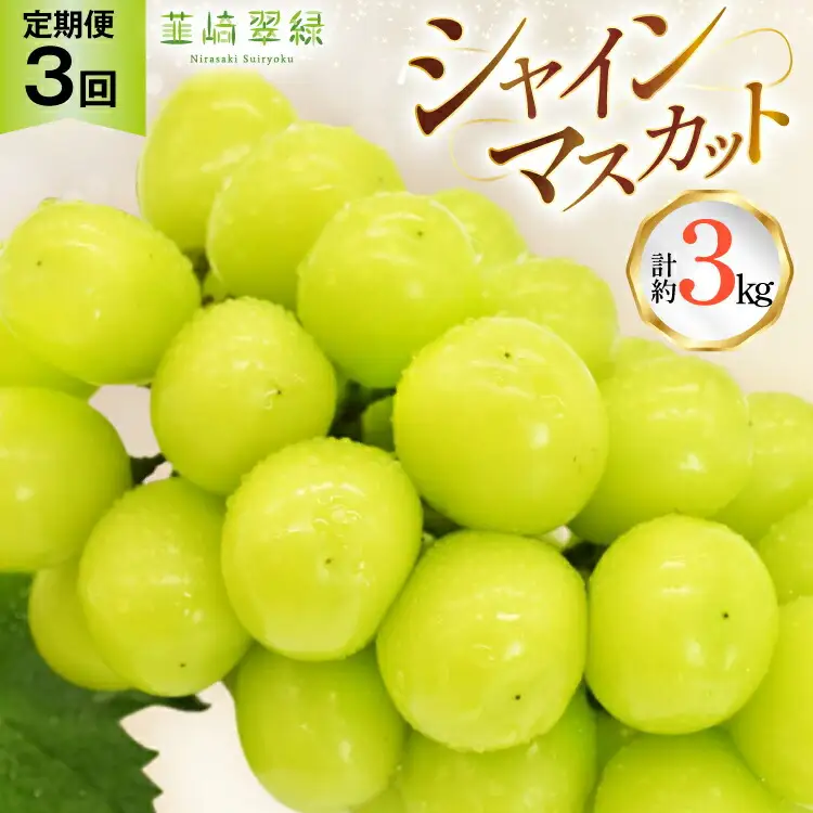 【2026年発送！先行予約！】韮崎翠緑セレクト！シャインマスカット定期便 約1.0kg×3回 NS-1020 [韮崎翠緑 山梨県 韮崎市 20744987]