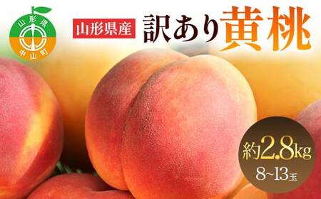 《2026年発送先行予約》山形県産 訳あり黄桃 約2.8kg 8～13玉 桃 もも フルーツ 黄色 家庭用 F4A-0925