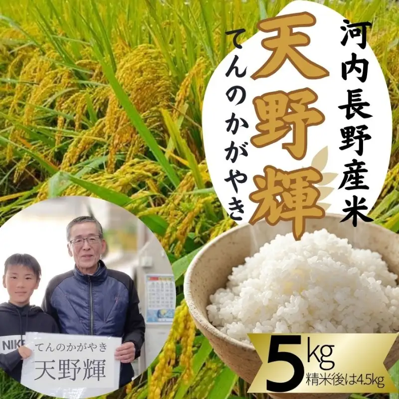 【2026年11月以降発送】令和8年産 新米 にこまる 天野輝5kg （精米後約4.5kg）