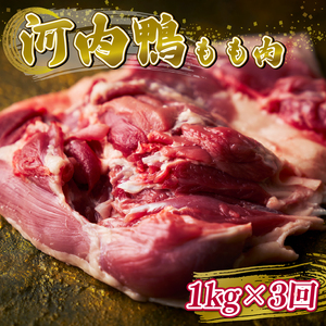 定期便3ヶ月 河内鴨 もも肉 1kg スライス 【 鴨肉 】