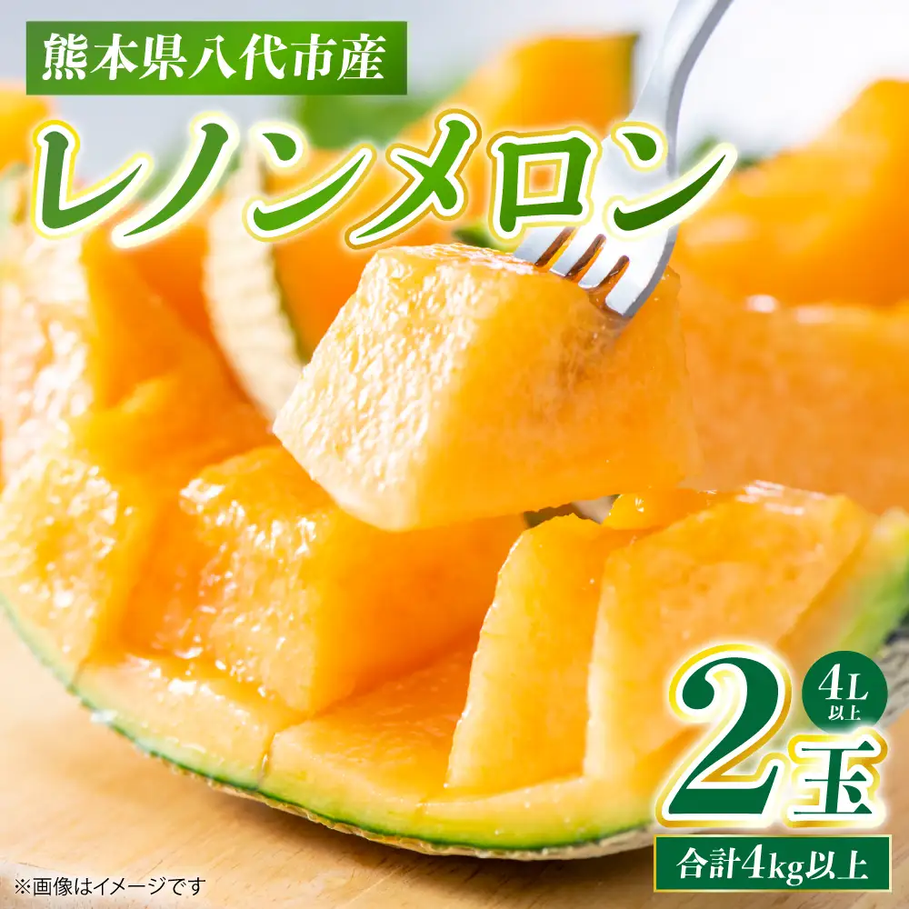 メロン レノンメロン 2玉 4L以上（合計4kg以上） 果物 フルーツ 熊本県 八代市 メロン