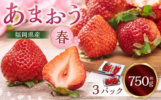福岡産【春】あまおう3パック いちご 苺 イチゴ 果物 くだもの フルーツ 冷蔵 【2027年2月上旬～3月下旬発送予定】