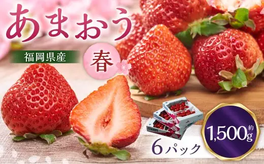 福岡産【春】あまおう6パック いちご 苺 イチゴ 果物 くだもの フルーツ 冷蔵 【2027年2月上旬～3月下旬発送予定】