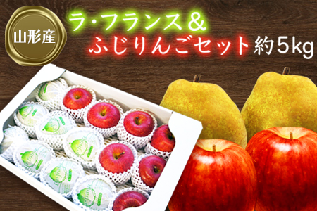 【2026年発送】ラフランス＆ふじりんごセット約5kg_H072(R8)