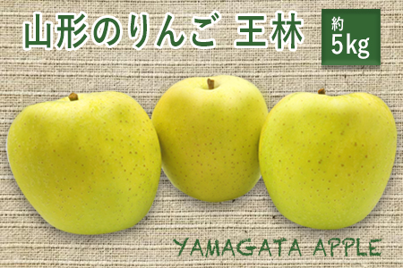 【2026年発送】山形のりんご（王林）約5kg_H079(R8)