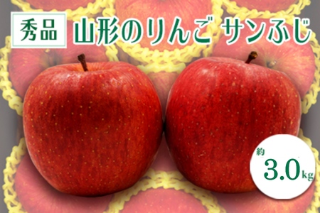 【2026年発送】「秀品」山形のりんご（サンふじ）約3kg_H083(R8)
