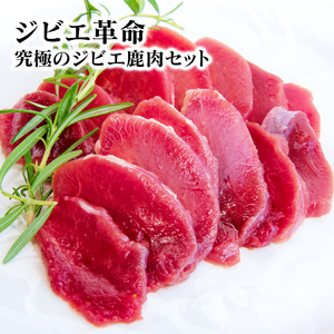 ジビエ革命～究極のジビエ鹿肉セット～ N028-YZA509