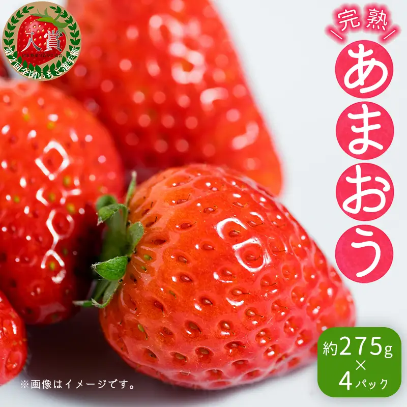 【先行予約／2027年出荷】暖家のいちご 完熟あまおう 3月下旬以降発送 (約275ｇ×4パック） 3Z4-S