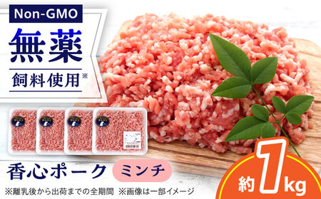 『香心ポーク』ミンチ 約250g×4パック（計約1kg）豚肉ミンチ 冷凍 熊本県産 [AYCK002]