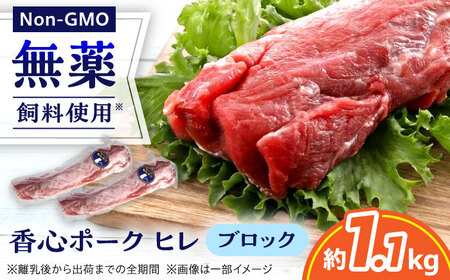 『香心ポーク』ヒレ ブロック 2本（約1.1kg）豚肉 ヒレ 冷凍 熊本県産 [AYCK015]