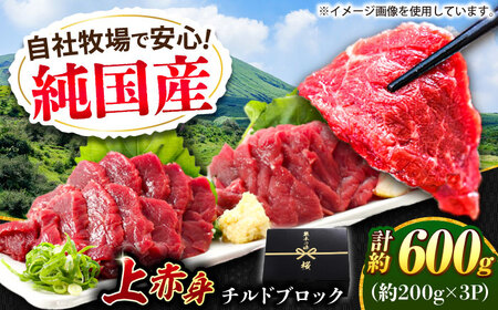 『純国産』熊本の味 上赤身 馬刺し 計約600g（約200g×3パック）ブロック チルド 冷蔵 馬刺し [AYCN034]