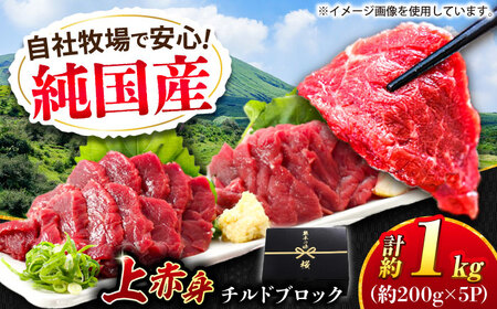 『純国産』熊本の味 上赤身 馬刺し 計約1kg（約200g×5パック）ブロック チルド 冷蔵 馬刺し [AYCN036]