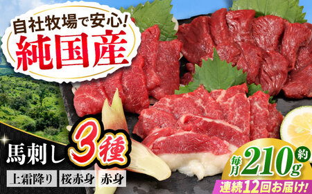 【全12回定期便】『純国産』熊本の味 馬刺し お試し 3種 セット 計約210g（2?3人前）上霜降り 霜降り 赤身 馬刺し[AYCN072]