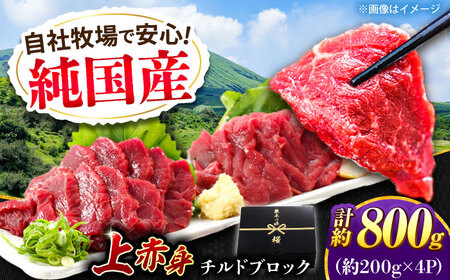 『純国産』熊本の味 上赤身 馬刺し 計約800g（約200g×4パック）ブロック チルド 冷蔵 馬刺し [AYCN108]