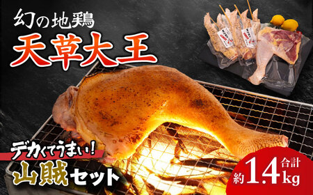 天草大王【山賊セット】幻の鶏 キャンプ BBQ 骨付き もも肉 約800g!! 大手羽先 3本×2セット 鶏肉[AYAN035]