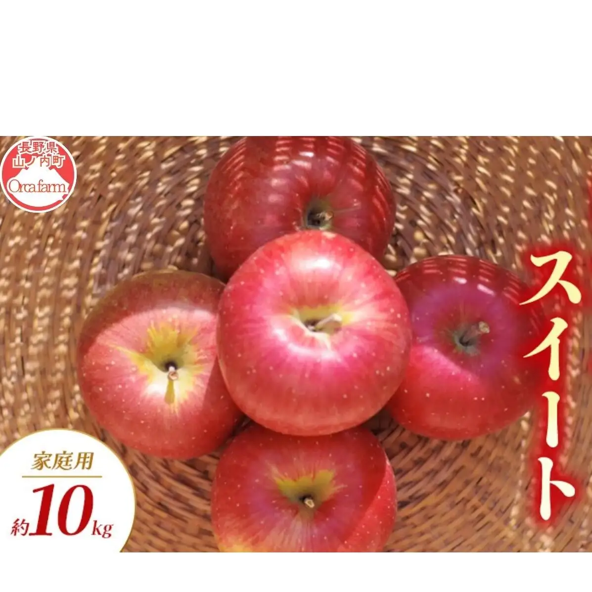 【2026年9月～発送】シナノスイート 家庭用 約10kg りんご リンゴ 林檎 果物 フルーツ 長野県 長野 山ノ内町