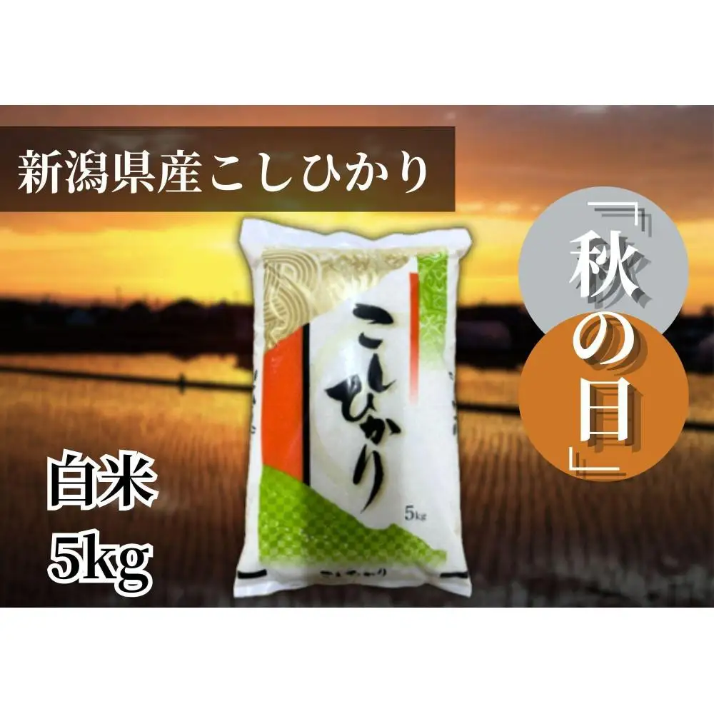 【令和7年産】新潟県産こしひかり「秋の日」（白米5kg）新潟県の美味しいお米。