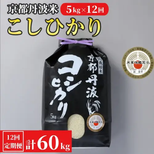 （今日取り引きできる方わ500円引きします❗️ ）コシヒカリ10キロ❗️ コシヒカリ 10kg（標準） 令和7年産 米 こしひかり 鳥取県 倉吉市産