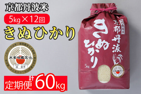 【12回定期便】きぬひかり 5kg 定期便 精米 白米