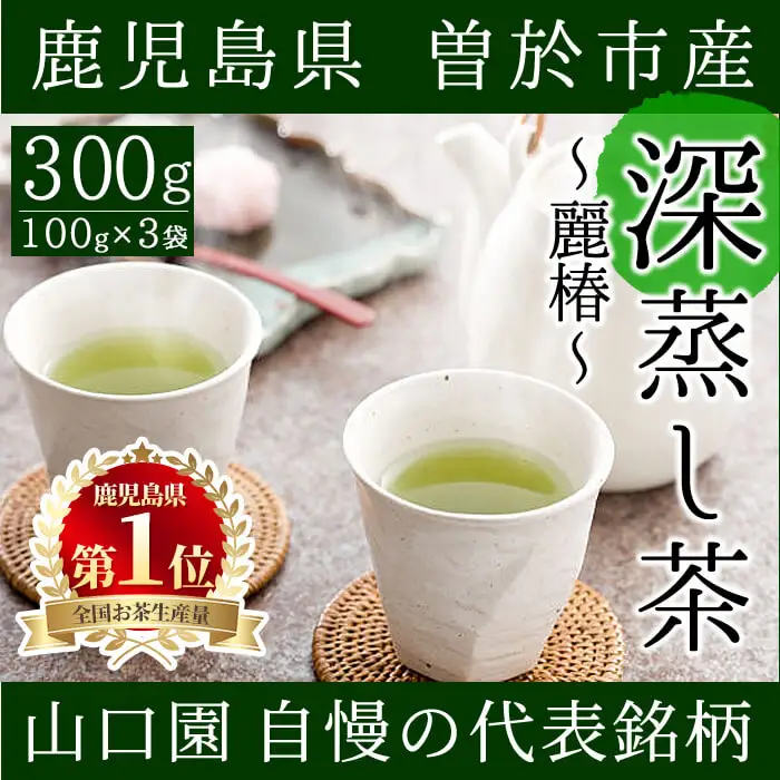＜ お茶 生産量 日本一 の 鹿児島県産 ！＞ 小さい お茶屋 の 深蒸し茶 ～ 麗椿 ～( 茶葉 100g×3本・合計300g) 国産 緑茶 茶葉【お茶の山口園】A186-v01