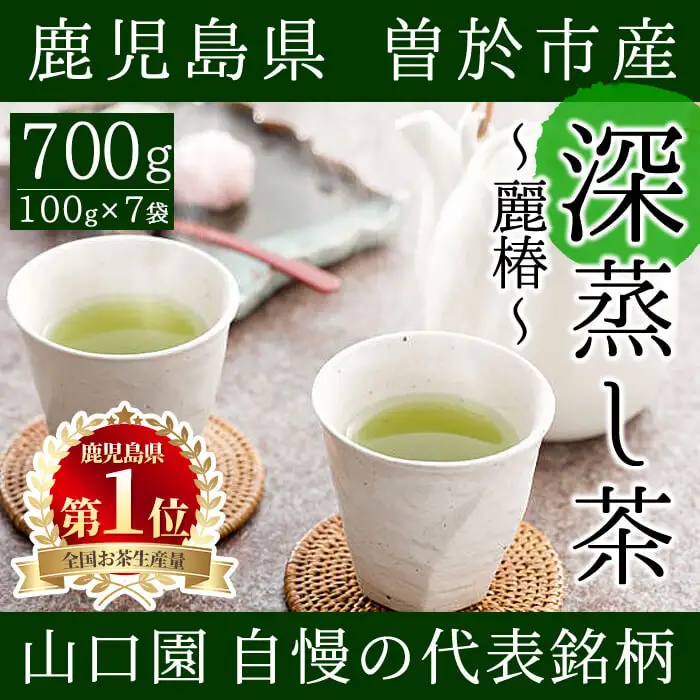 お茶 緑茶 飲料 鹿児島県産 お茶屋 深蒸し茶 麗椿(茶葉100g×7本・合計700g)【お茶の山口園】 B109-v01