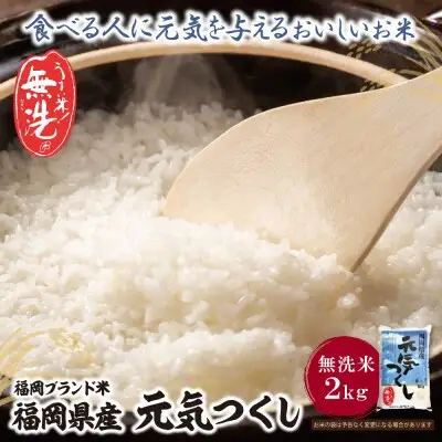 Y17-31 令和7年産 無洗米 元気つくし2kg