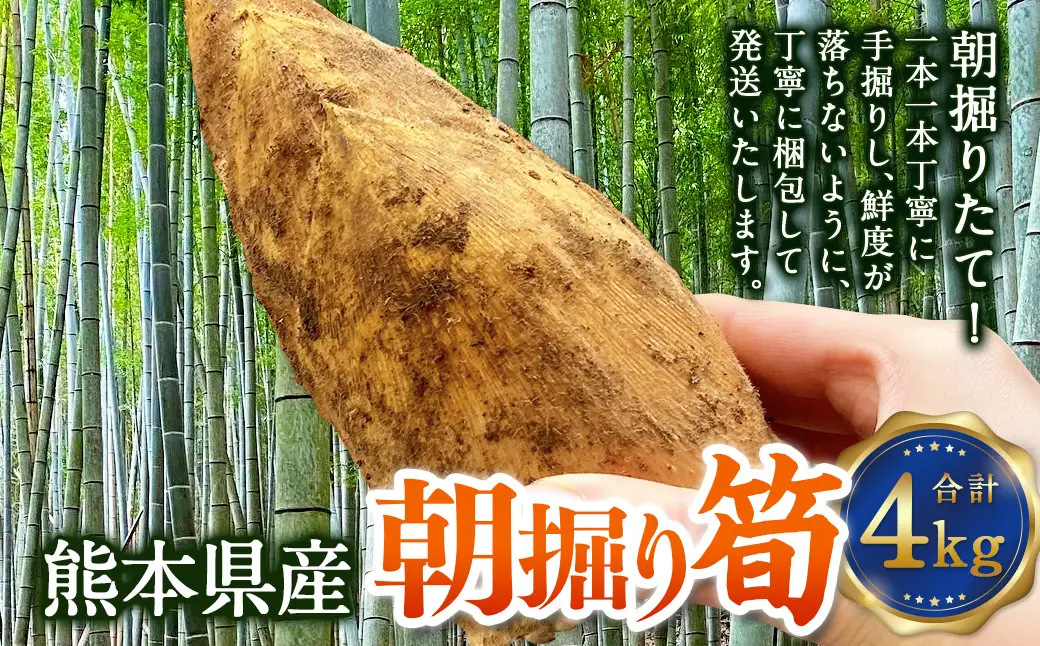 熊本県産 朝掘り 筍 約4kg 【2027年4月上旬発送開始】 たけのこ タケノコ 野菜