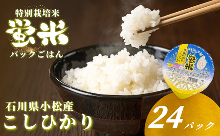 パックご飯『蛍米』180g×24個 パックご飯